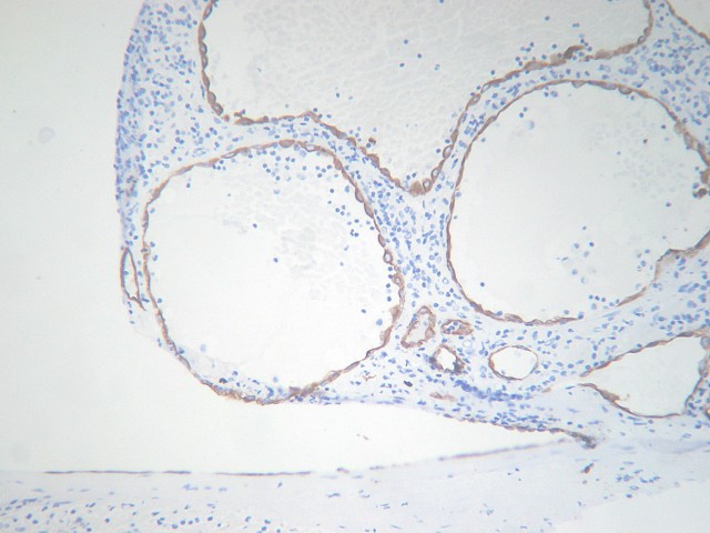 Fig. 7 - <div style=